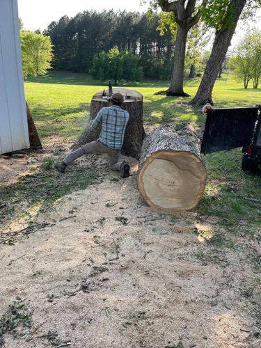 Tree Removal for Rosales Landscaping LLC in Lake Gaston, North Carolina