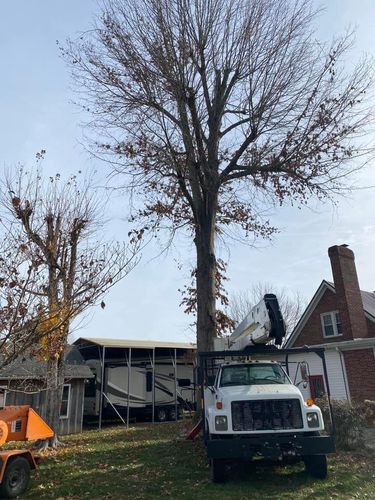 Fall and Spring Clean Up for Atwood’s Tree Care in Liberty,  KY