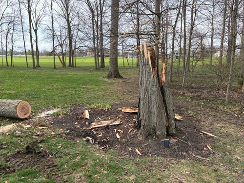 Land Clearing for Murray Excavation & Site services in Sunbury, OH