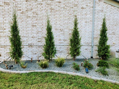 All Photos for Lavon Lawn Plus in Lavon, TX