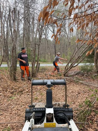 All Photos for Ramirez Tree Care in Elkin, NC