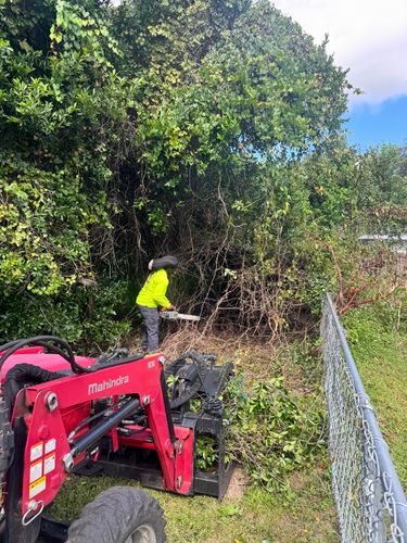  for Broadway Tree Care in Inverness, FL