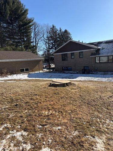 Stump Removal for Fransen's Tree Service  in Freeport, IL