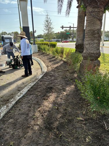 for Gulf Bay Sod in Clearwater, FL