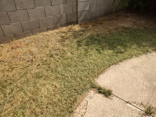  for Smooth Lawn Service in Mesa, AZ