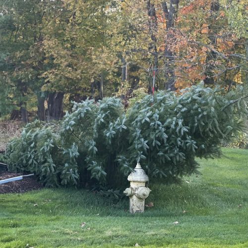  for Ace Landscaping in Trumbull, CT