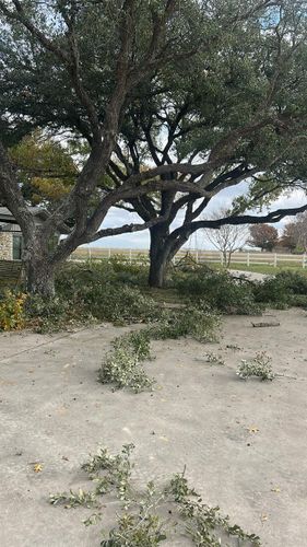  for C & C Lawn Care and Maintenance in New Braunfels, TX