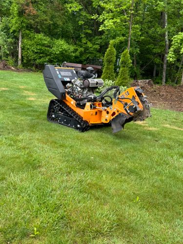 Stump Grinding for Jills Stump Grinding and Firewood in Shelton, CT