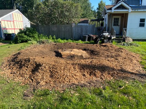 Stump Grinding for Bear Creek Tree Service LLC in Rudyard, MI