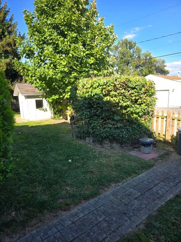 Our Work for CLH Services in White Marsh, MD