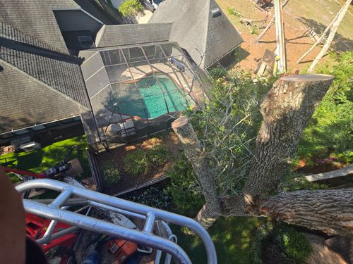Tree Removal for Near Me Tree Service, Inc. in DeLand, FL