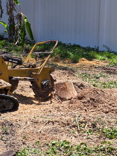 Stump Removal for Near Me Tree Service, Inc. in DeLand, FL