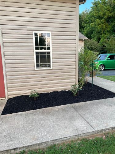 Landscaping for Transforming Landscaping & Tree Service in Bowling Green, KY