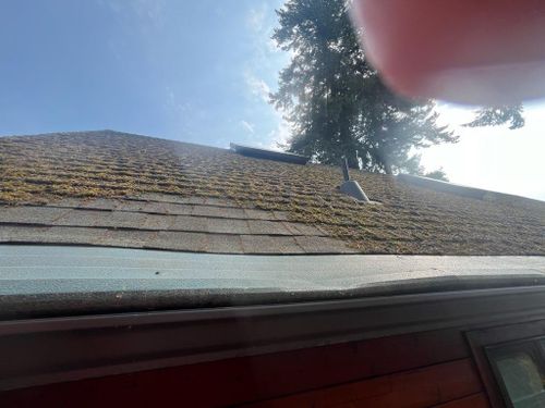 All Photos for Swift Serve in Coeur d'Alene, ID