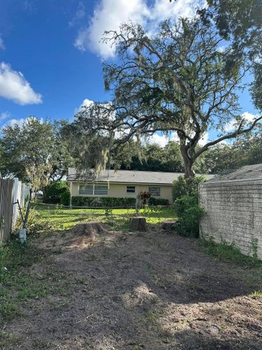  for Narrow Path Tree Service in Deland, FL