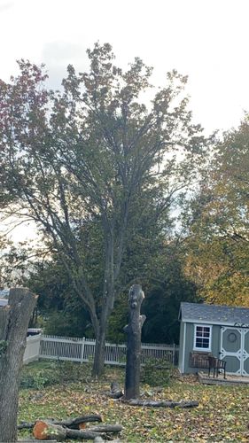 All Photos for Gray's Tree Service  in Shenandoah County, VA