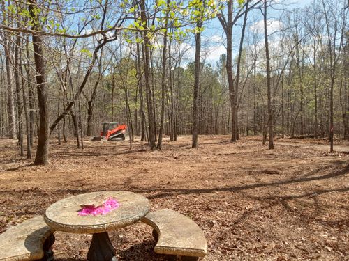 Brush mowing & Forestry mulching for Jason Scott Grading & Clearing in Williamson, GA