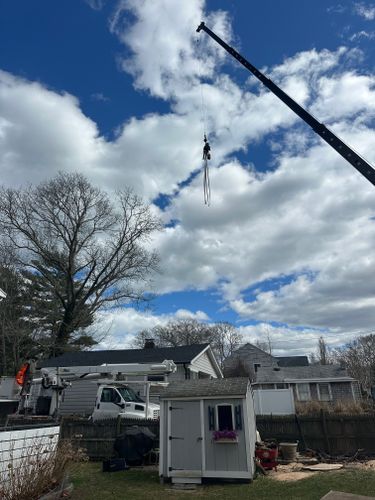  for Powells Tree Service Inc. in Cape Cod, MA