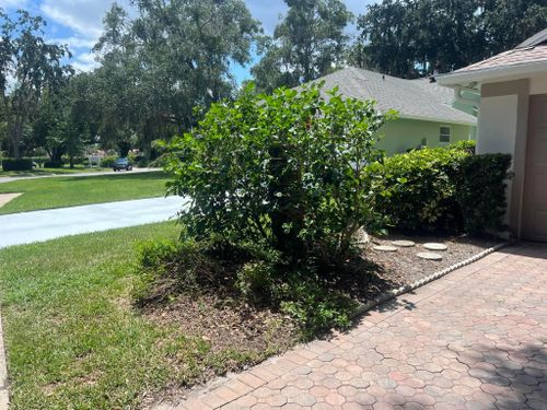 Full scale landscape designing and installations for Isaiah Simmons Construction and Landscaping LLC in Brevard County, Florida