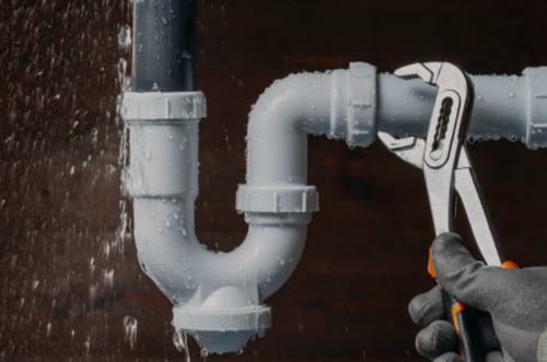  for Same Day Drains LLC in Los Angeles, CA