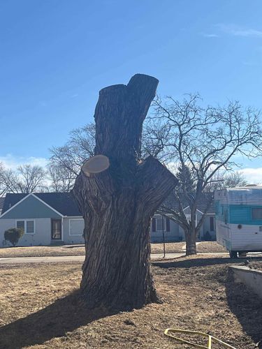 Tree Removal for K and Z Tree Care in Isanti County, MN