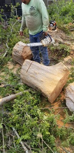 Tree Removal for Tezna Landscaping, Trees & Pavers in Valrico, FL