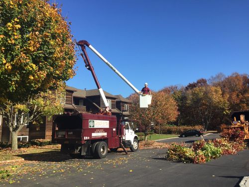 All Photos for Clovis Outdoor Services in Stony Brook, New York