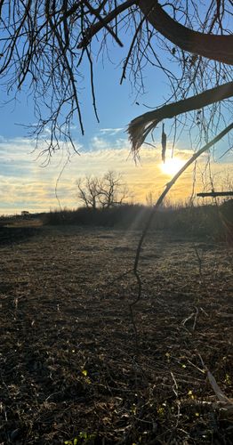  for Root Land Management in Watkins, MN