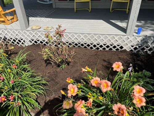 All Photos for The Yard Barbers in Somerset, KY