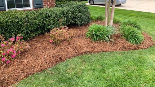 Mulch Installation for Terra Heights Tree Experts & Landscaping  in Grass Valley,  CA