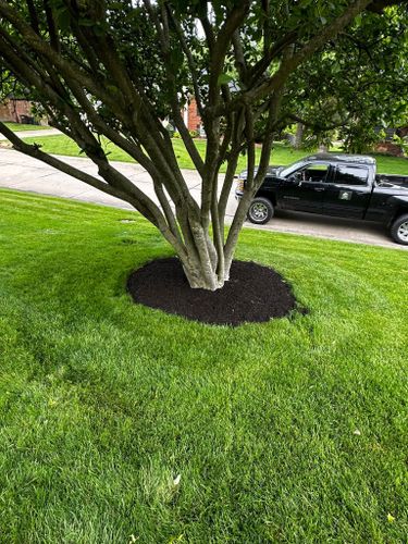 All Photos for A&H Property Solutions LLC in Florence, KY