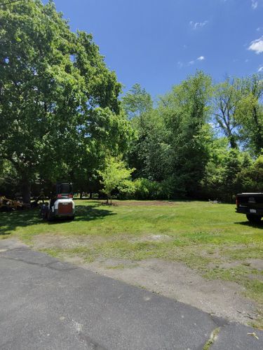  for Powell Tree Service Inc.  in Cape Cod, MA