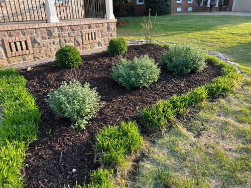 Bush Trimming for KP Landscaping in Williamsburg, VA