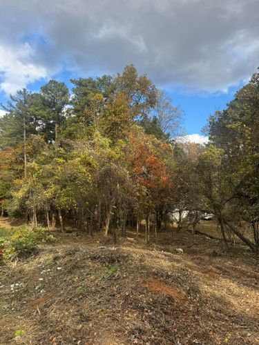  for Southern Turf & Landscape in Concord, NC