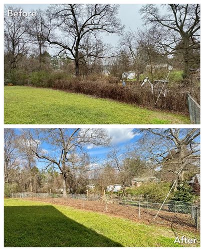 Brush Cutting and Removal for Fayette Property Solutions in Fayetteville, GA