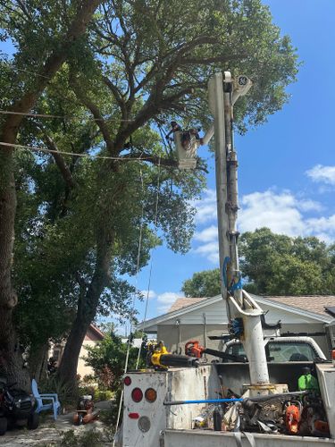  for Nick of Time Tree Service in North Port, FL