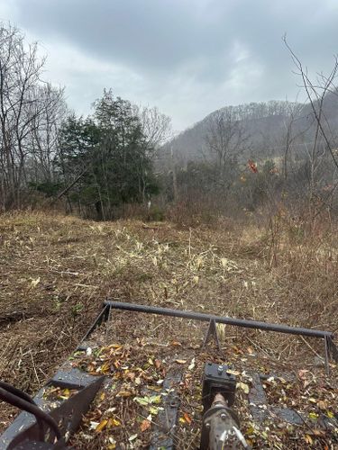  for Excavation Innovations in Rogersville, TN