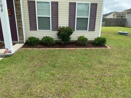 Shrub Trimming for NC Lawn Medics, LLC in Jacksonville, North Carolina