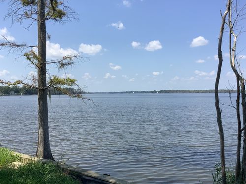 123 Sharon Drive, Hertford, NC 27944 for Stellar Properties North Carolina in Hertford, NC