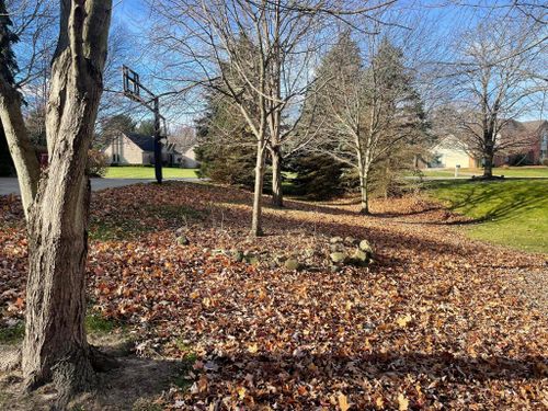 Fall Clean Up for Mckinzie Landscape in White Lake, MI