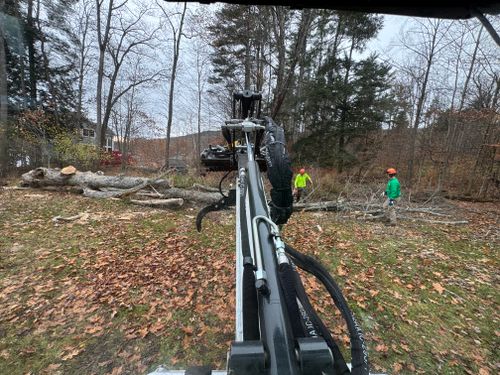 for Clifford’s Quality Tree Care & Landscaping in Enfield, NH