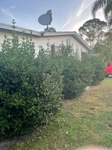 All Photos for A&D Lawn Care of Lakeland in Lakeland, FL