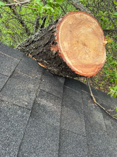  for Clifford’s Quality Tree Care & Landscaping in Enfield, NH