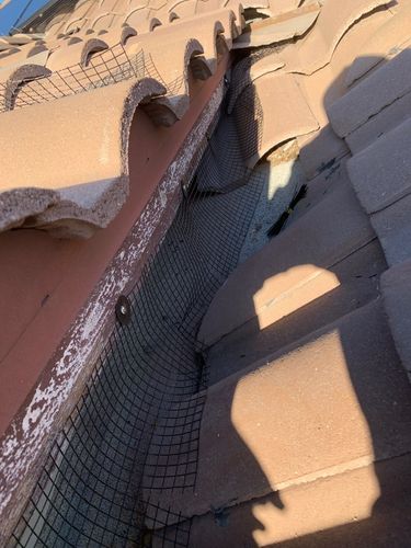 Bird Proofing for Olson & Sons Contracting in Mesa, AZ