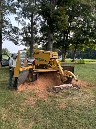 All Photos for ABC Tree Service in Dobson, NC