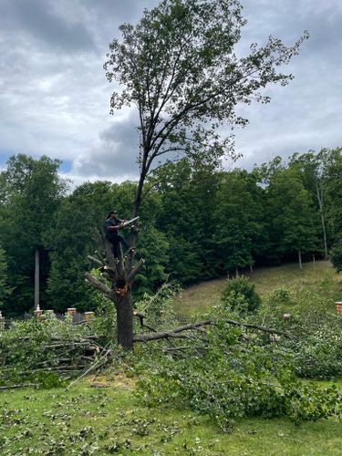 Tree Removal for Rosales Landscaping LLC in Lake Gaston, North Carolina