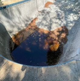 Pool plaster for LC Construction and Remodeling in Naperville, IL