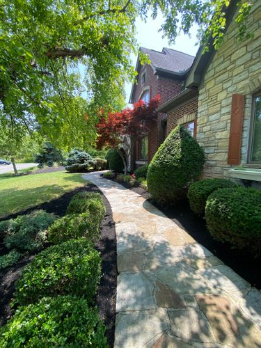 Shrub Trimming for Castle JR Landscaping & Painting LLC in Cincinnati, OH