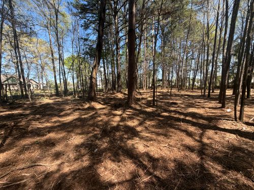  for 903 Mulching in East Mountain, TX