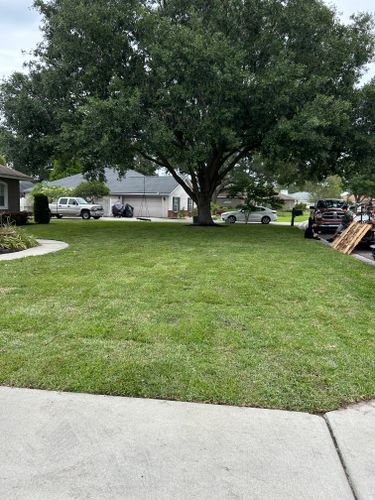 Lawn Care for Estrada All Pro Lawn Service in Auburndale, Florida